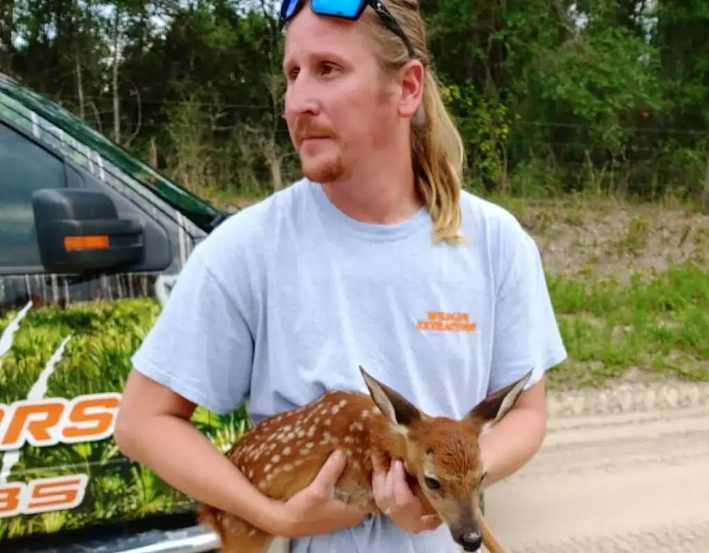 About Wildlife Extractors