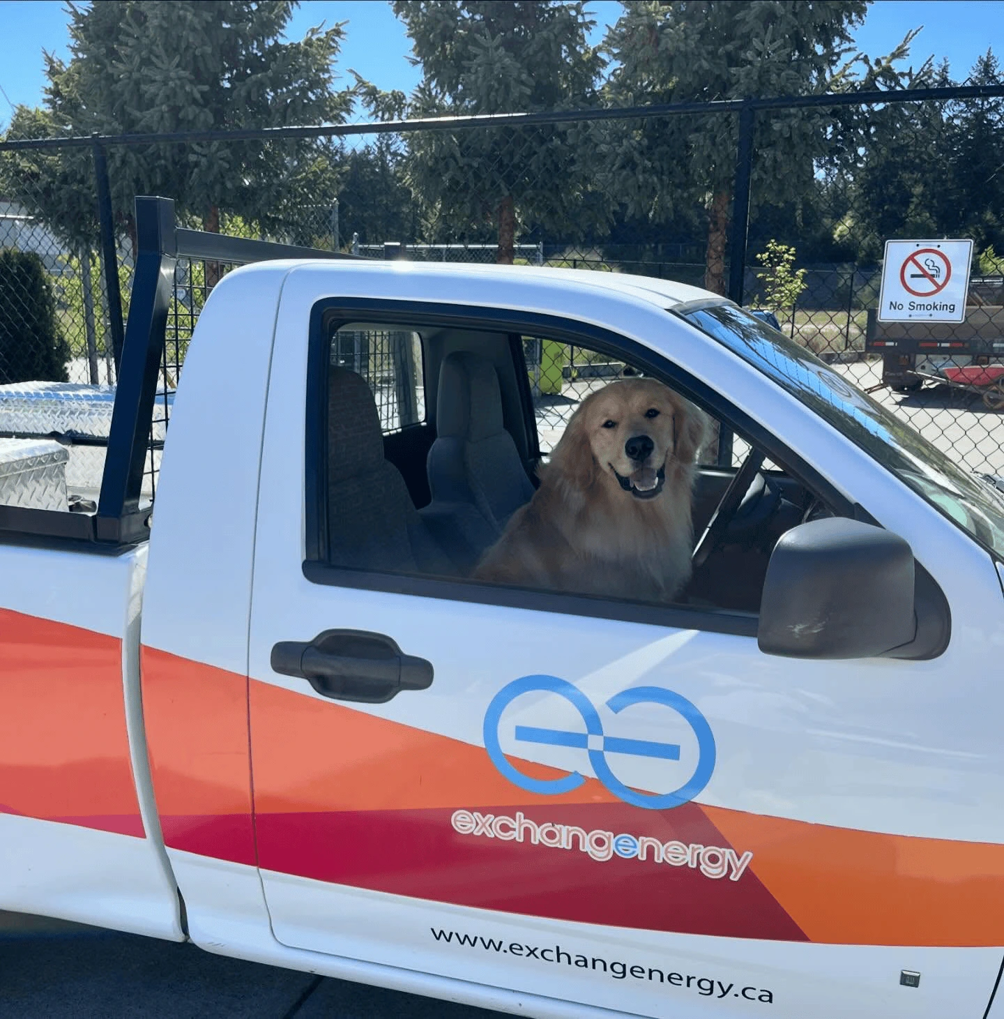 Truck dog
