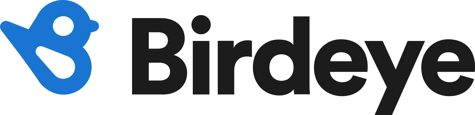 Birdeye Converted
