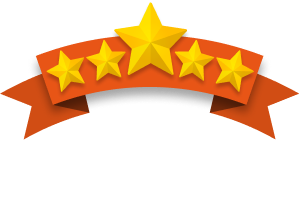 google review badge