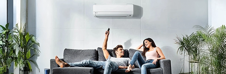 Ductless Systems - Pleasant Air Conditioning Services Inc - Hillsborough County, FL