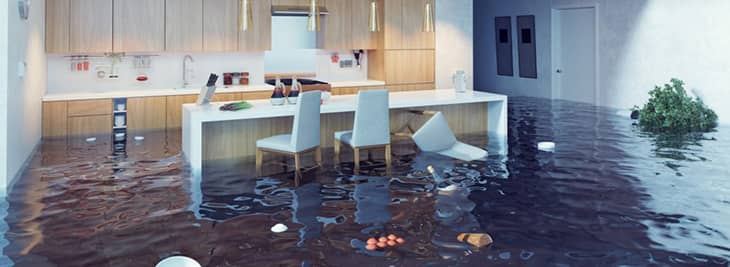 Water Damage - Emergency Response Group - Local Service