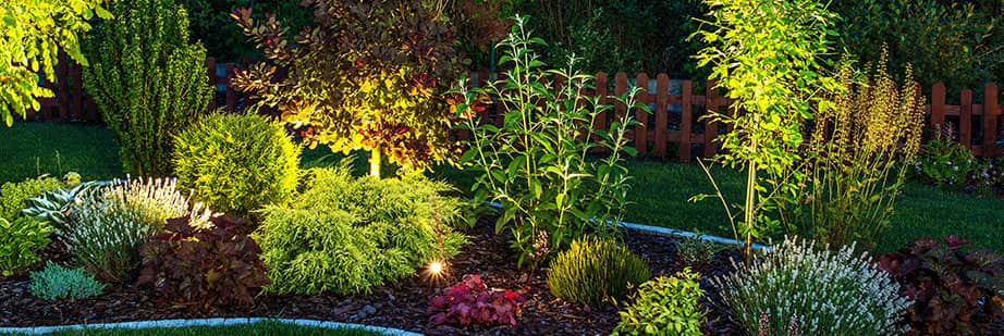 Commercial Outdoor Lighting Services