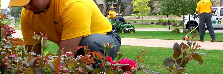 Commercial Pest, Weed, & Fertilization