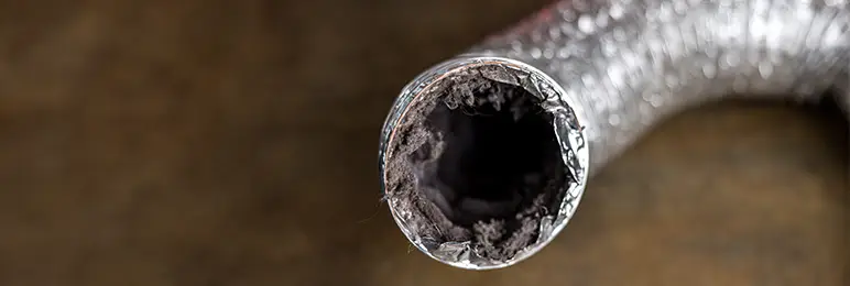 Dryer Vent Cleaning