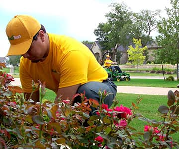 Pest, Weed & Fertilization