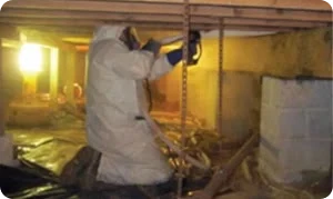 Biological Growth Image