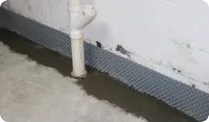 Water Intrusion Image