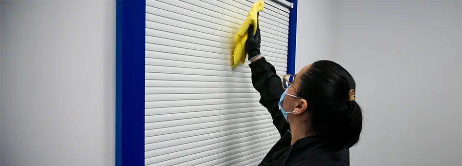 Blinds/Furniture Cleaning