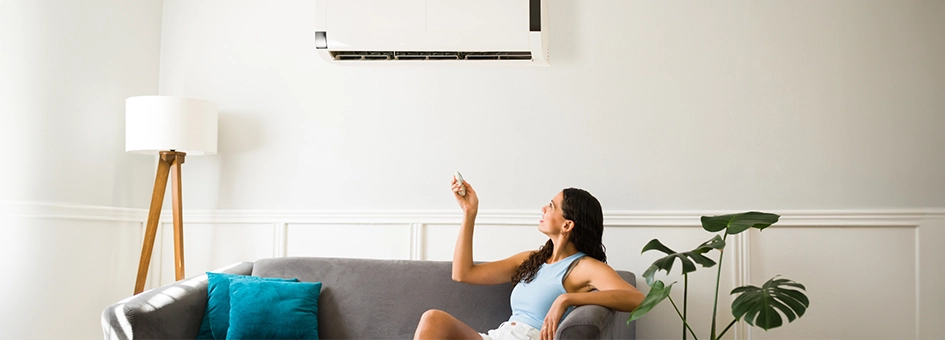 Ductless Systems