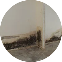 mold cleanup wall