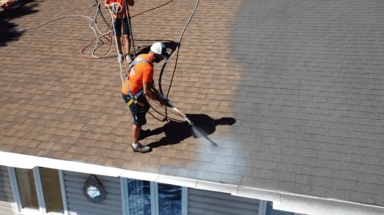 Roof Painting