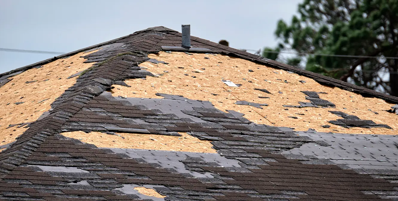 Storm Damage