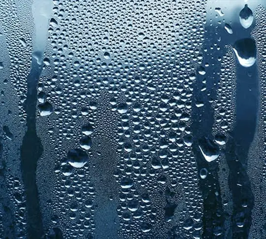 Foggy Glass Replacement