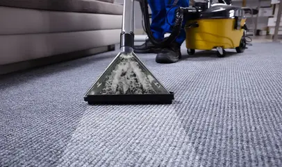 Carpet & Floor Cleanup icon