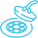 Drain Cleaning