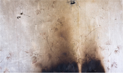 Fire & Smoke Damage Restoration icon