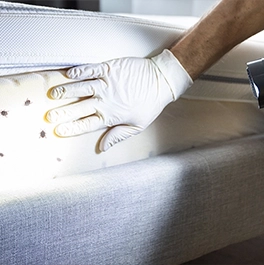 Bed Bug Furniture Removal