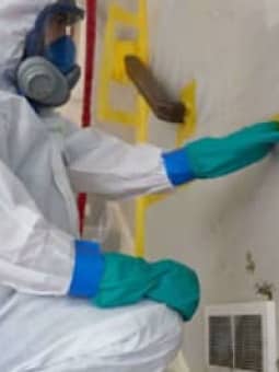 Restore Renovate Build