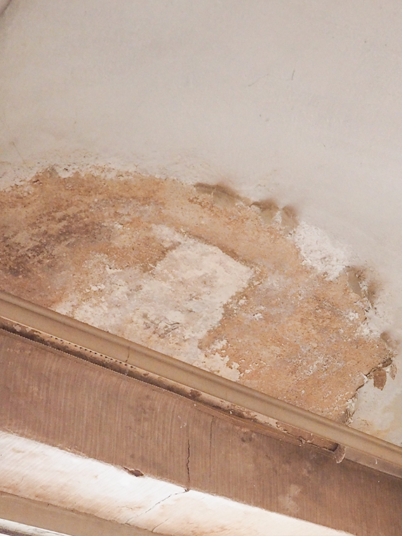 Emergency Response Group