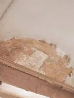 Fresh Start Restoration