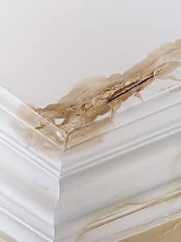 Roto-Rooter Plumbing & Water Cleanup